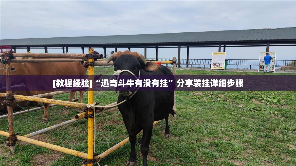 [教程经验]“迅奇斗牛有没有挂”分享装挂详细步骤