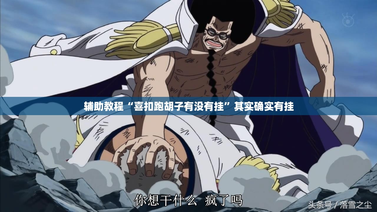 辅助教程“喜扣跑胡子有没有挂	”其实确实有挂