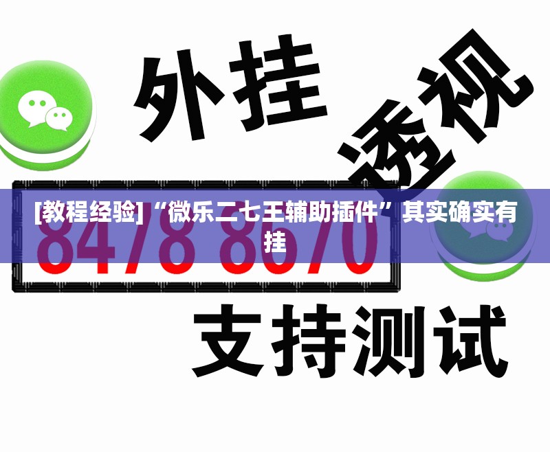 [教程经验]“微乐二七王辅助插件	”其实确实有挂